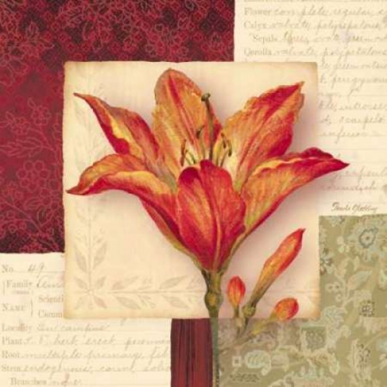 Bella Donna IV Poster Print by Pamela Gladding - Item # VARPDXGLA420